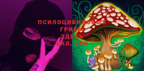 мескалин Вяземский