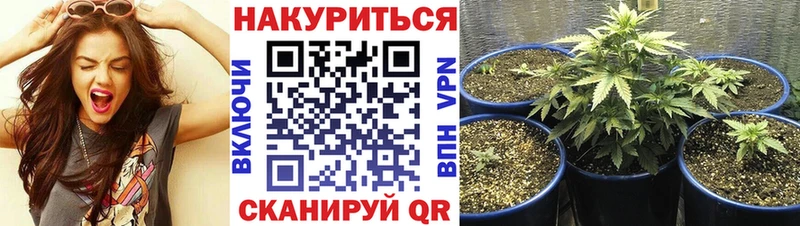 Купить закладки  Калтан  Бошки марихуана MAZAR 